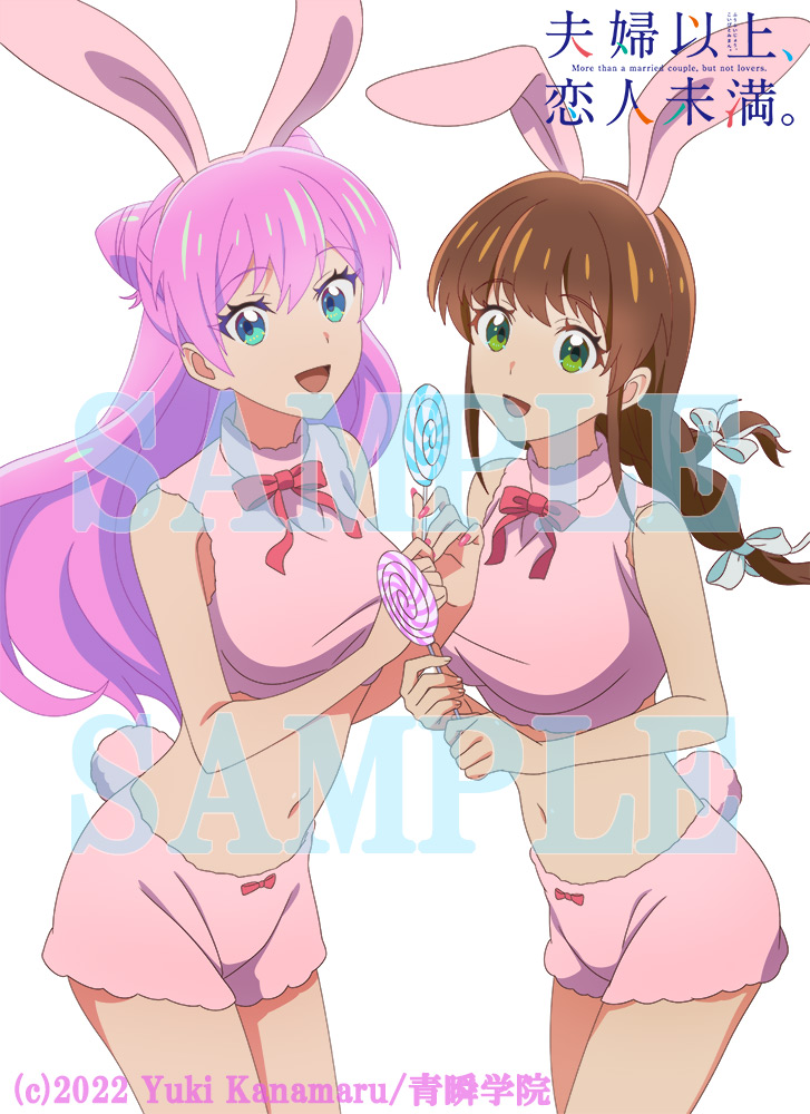 夫妇以上，恋人未满的海报-其他海报