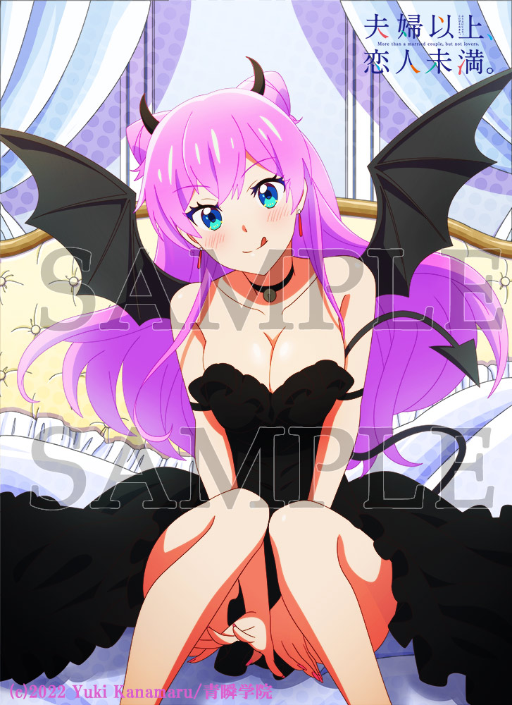 夫妇以上，恋人未满的海报-其他海报