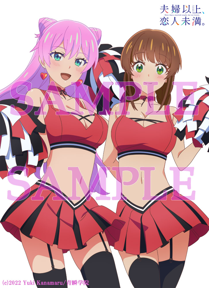 夫妇以上，恋人未满的海报-其他海报