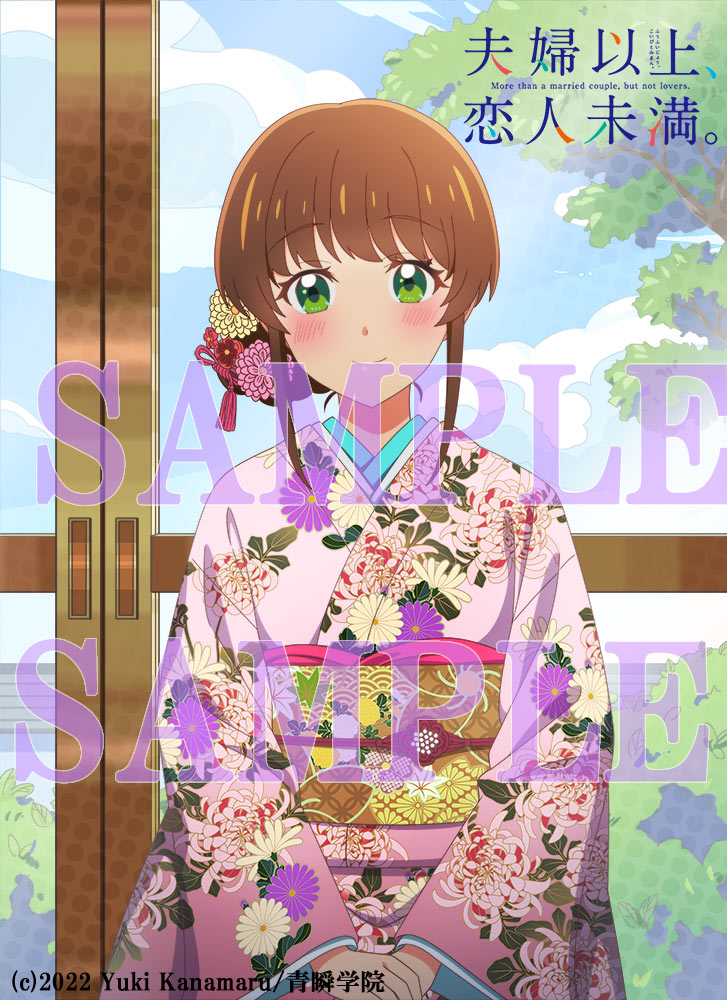 夫妇以上，恋人未满的海报-其他海报