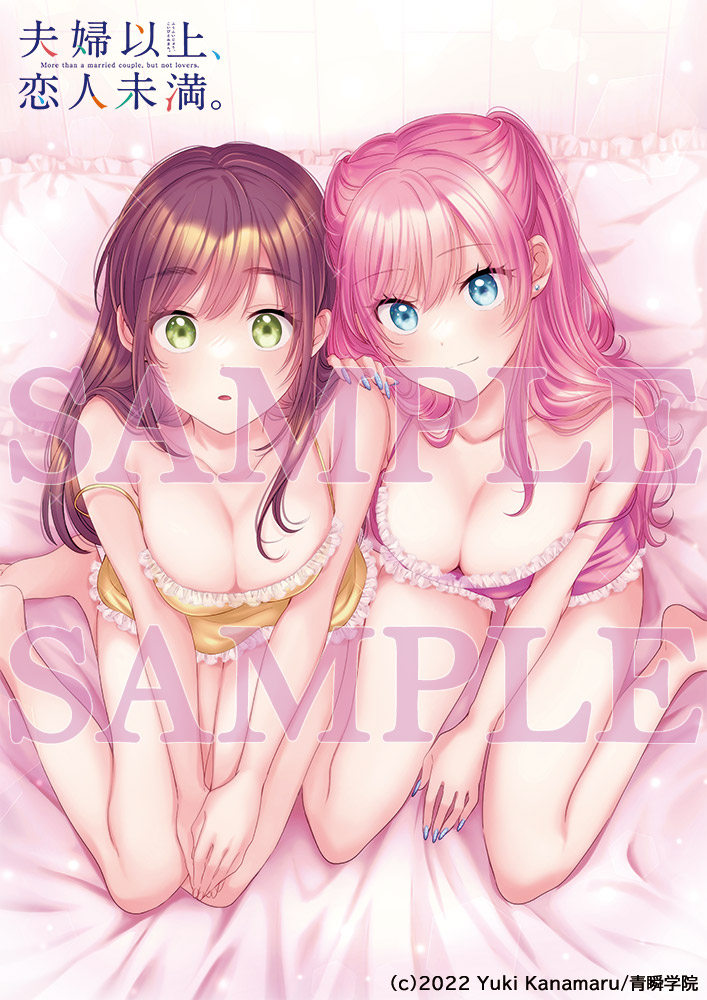 夫妇以上，恋人未满的海报-其他海报