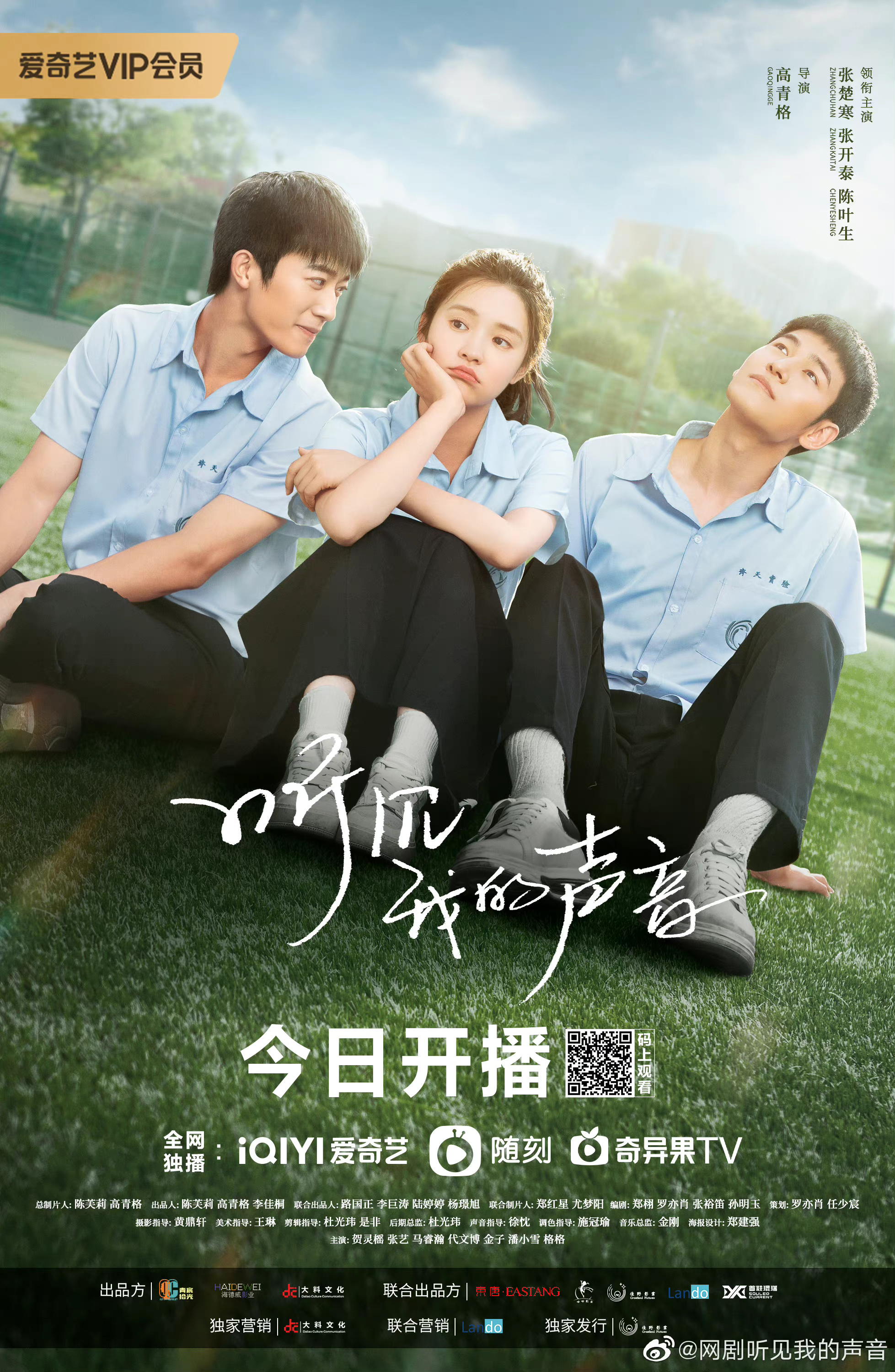 听见我的声音的海报-正式海报