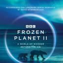 冰冻星球 第二季