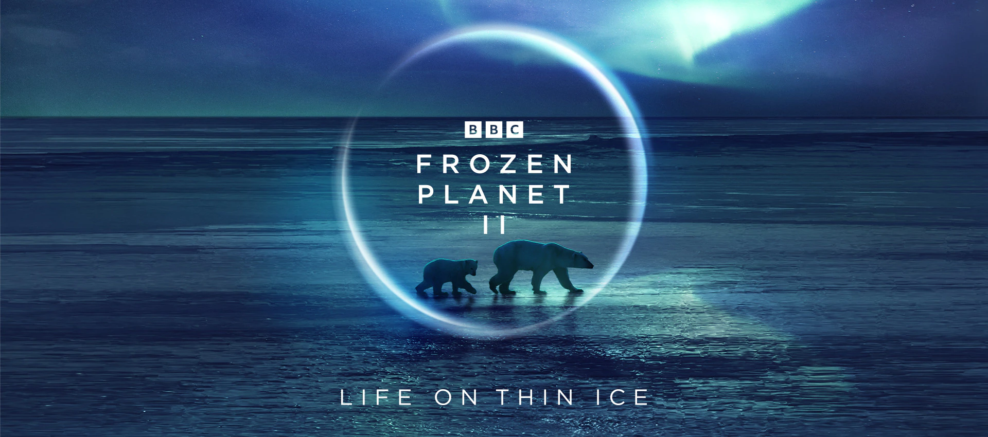 冰冻星球 第二季的海报-正式海报