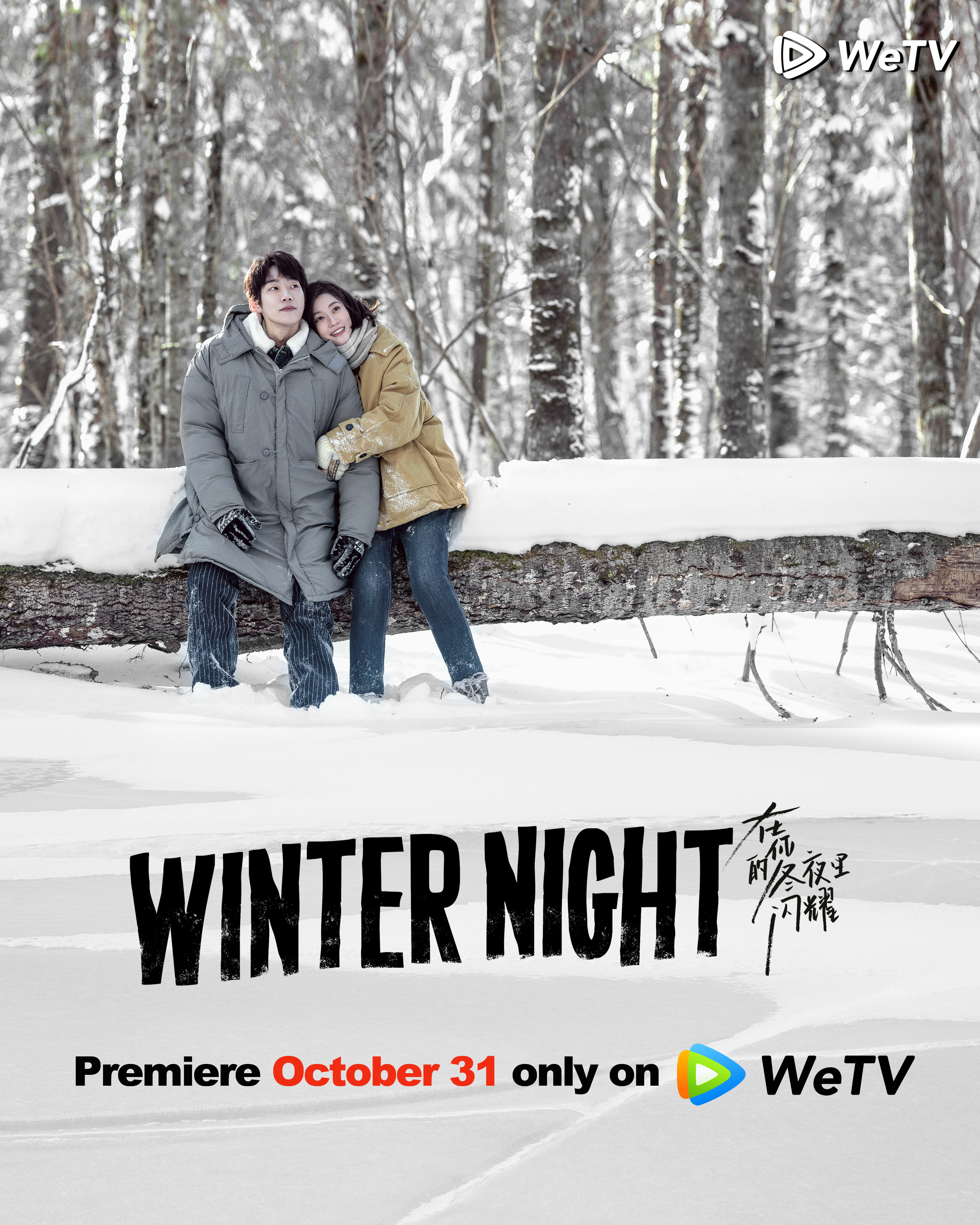 在你的冬夜里闪耀的海报-正式海报 美国