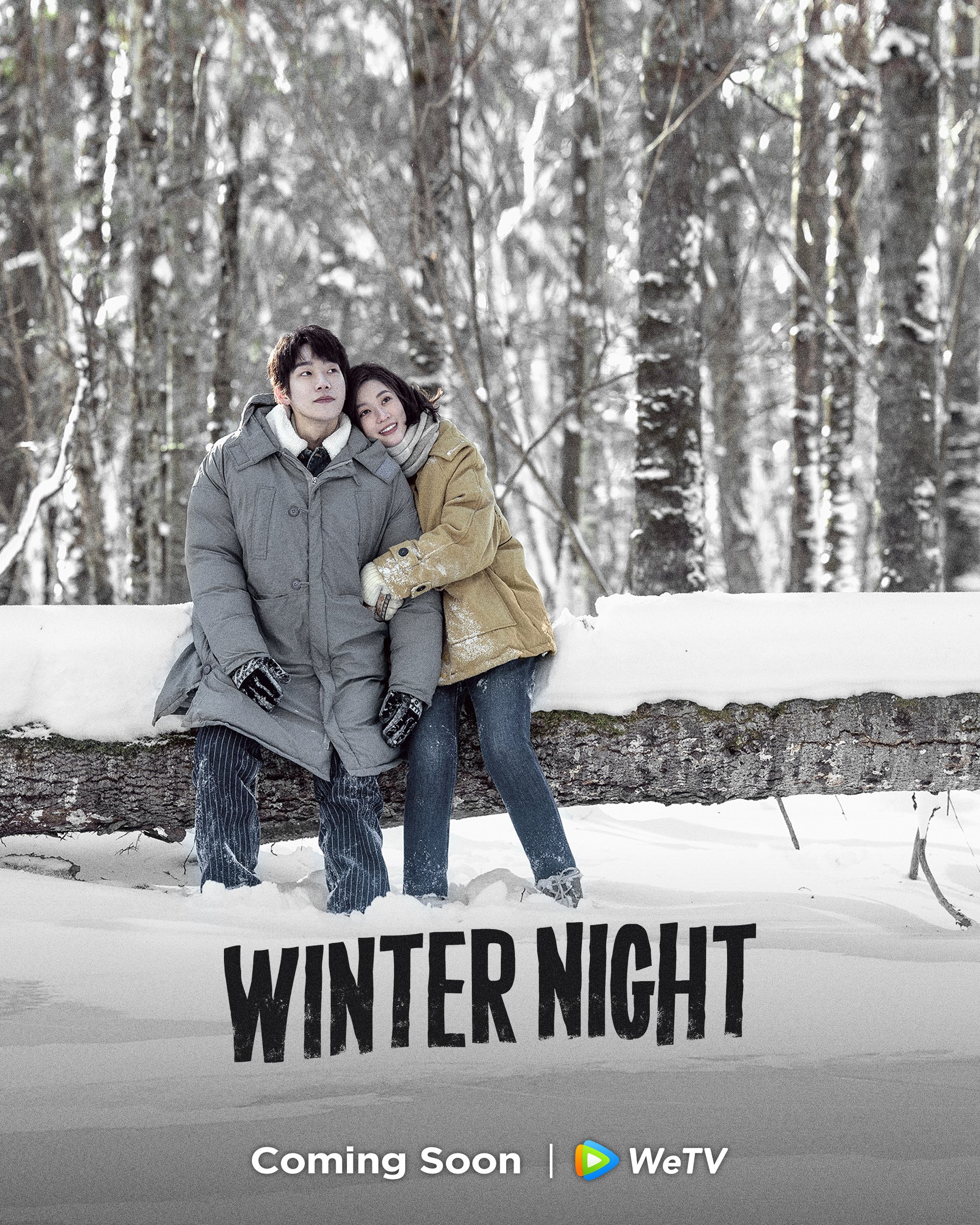 在你的冬夜里闪耀的海报-正式海报 美国