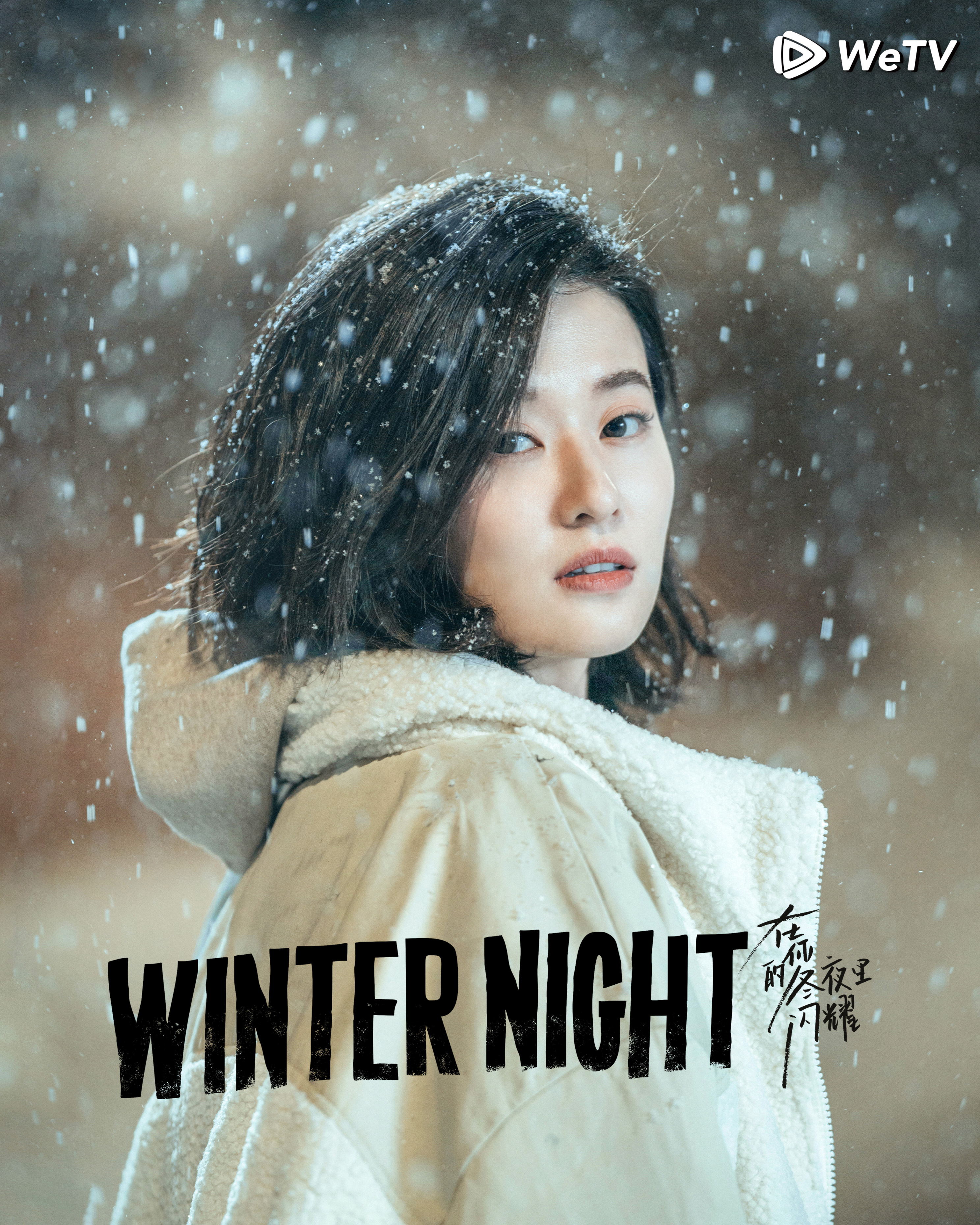 在你的冬夜里闪耀的海报-角色海报 美国