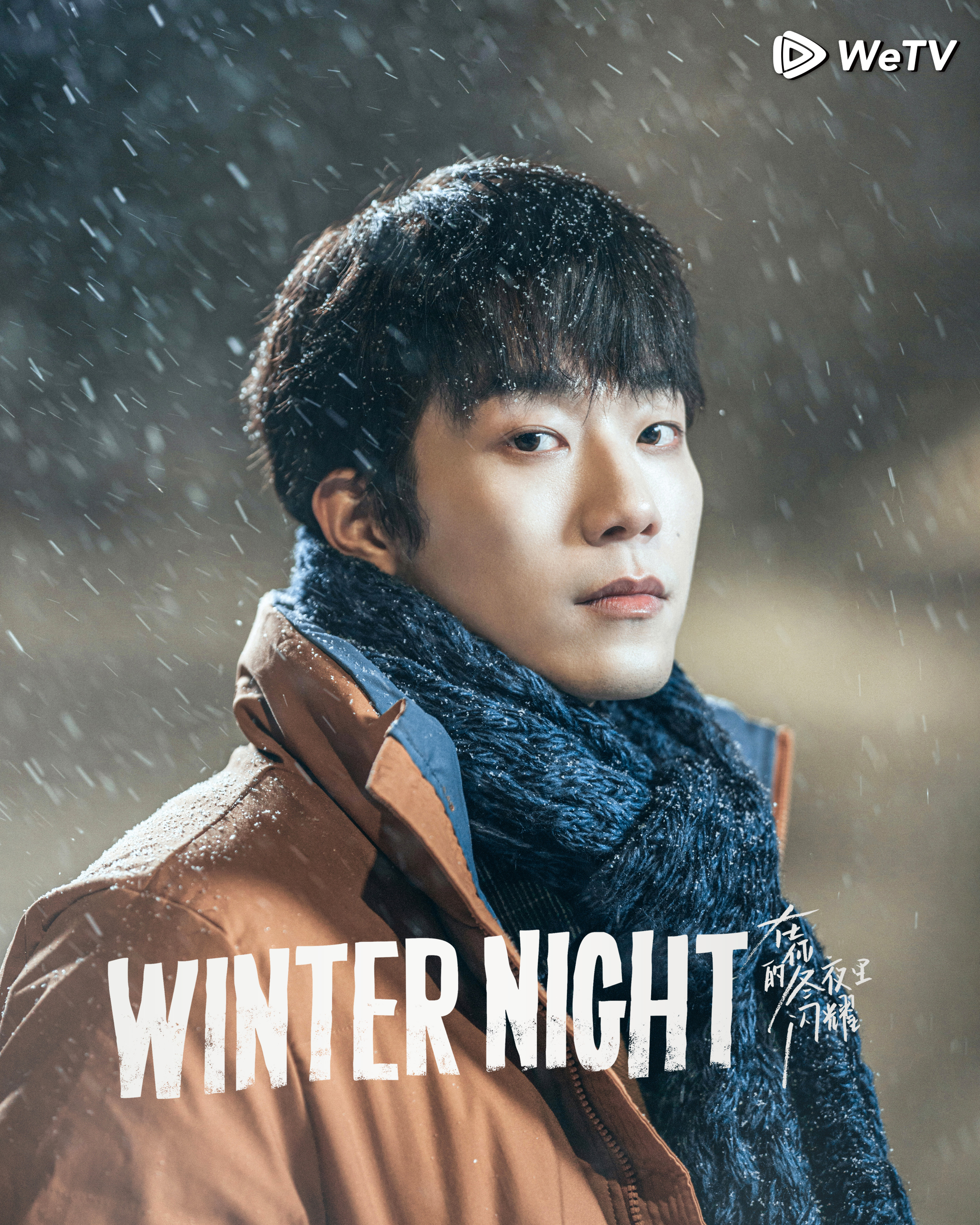 在你的冬夜里闪耀的海报-角色海报 美国