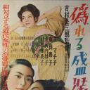 虚饰的盛装.海报