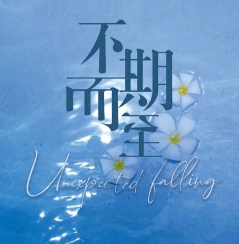 不期而至的海报-预告海报 中国大陆