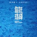 你好，珠峰.海报