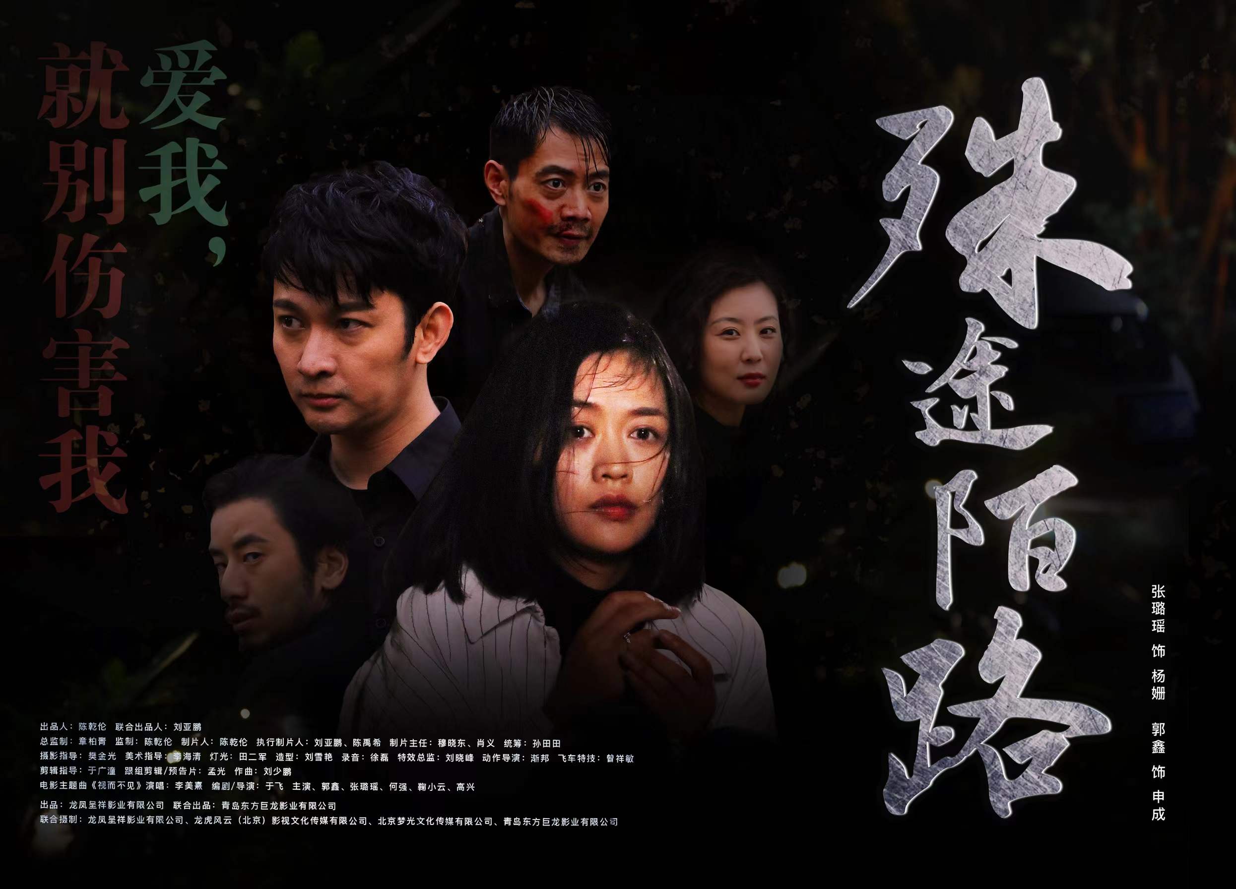 殊途陌路的海报-预告海报 中国大陆