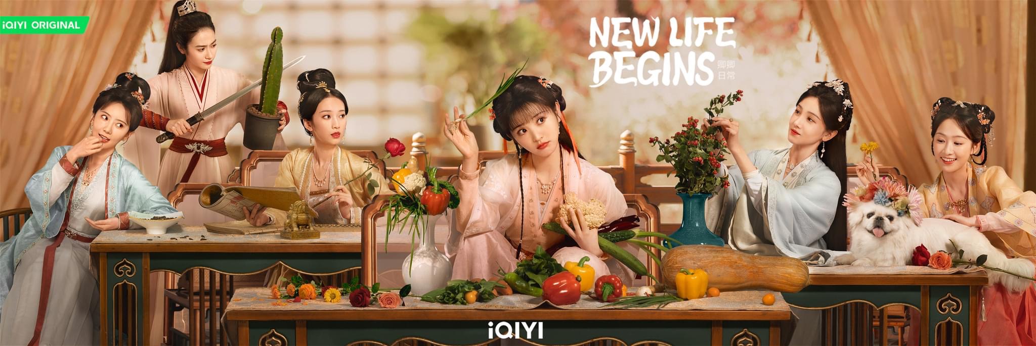 卿卿日常的海报-预告海报 美国