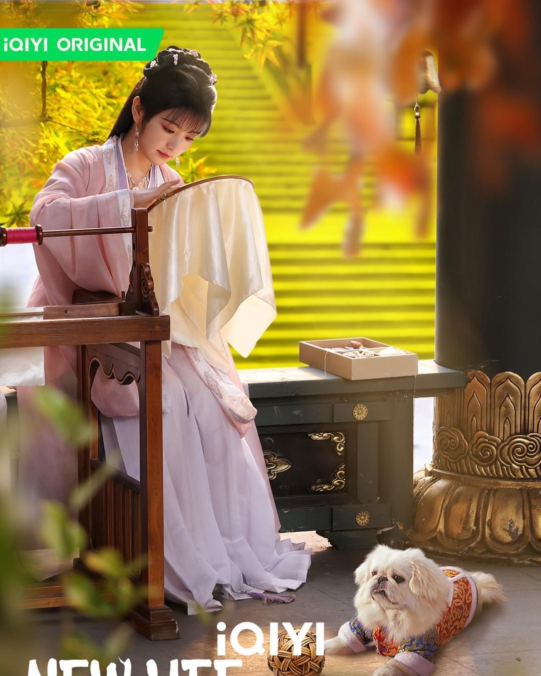 卿卿日常的海报-角色海报 美国