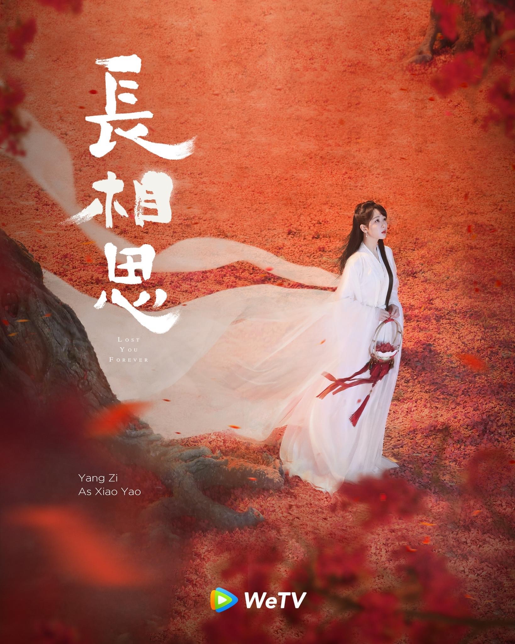 长相思的海报-预告海报