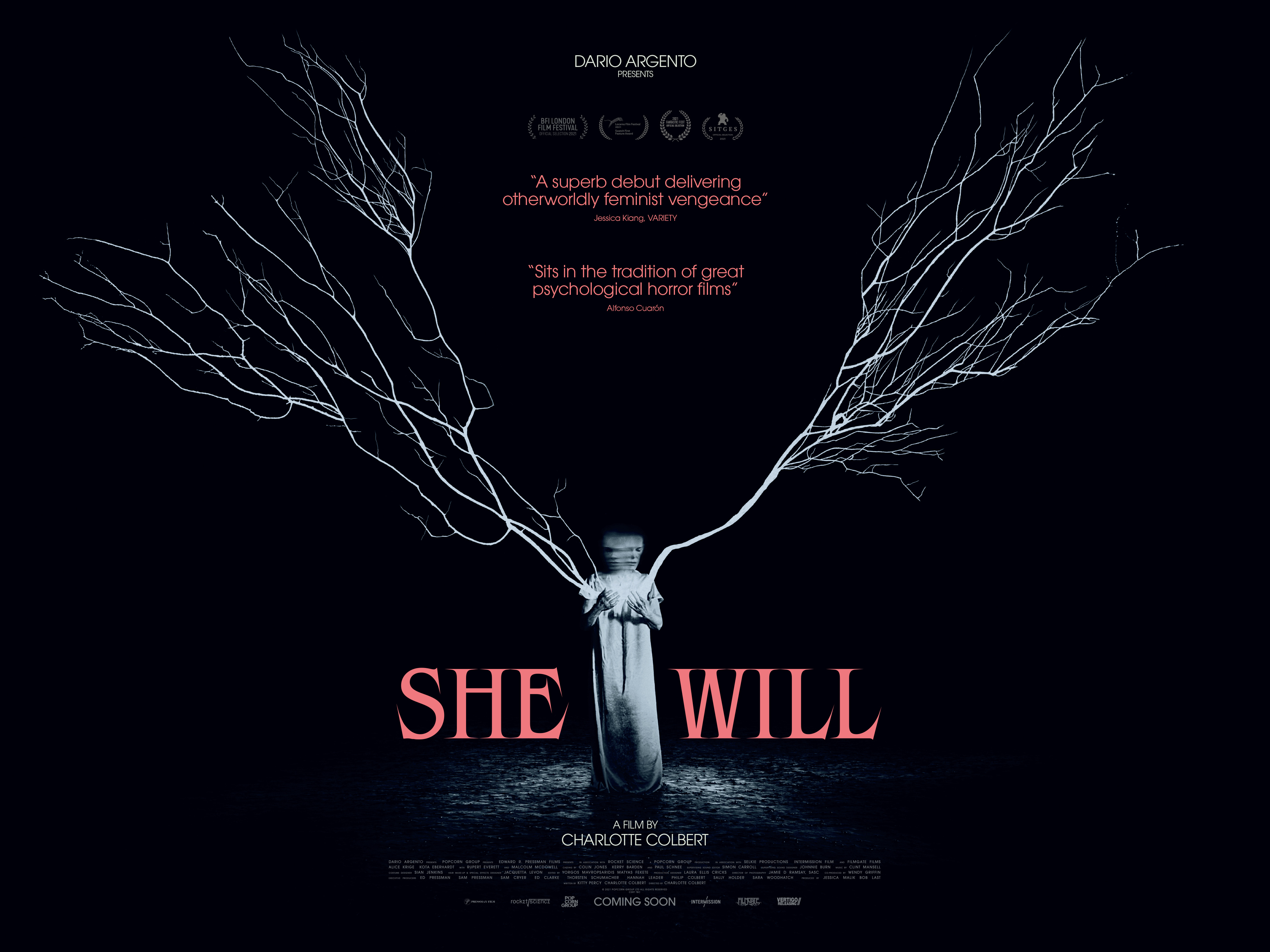 她将会的海报-正式海报 英国