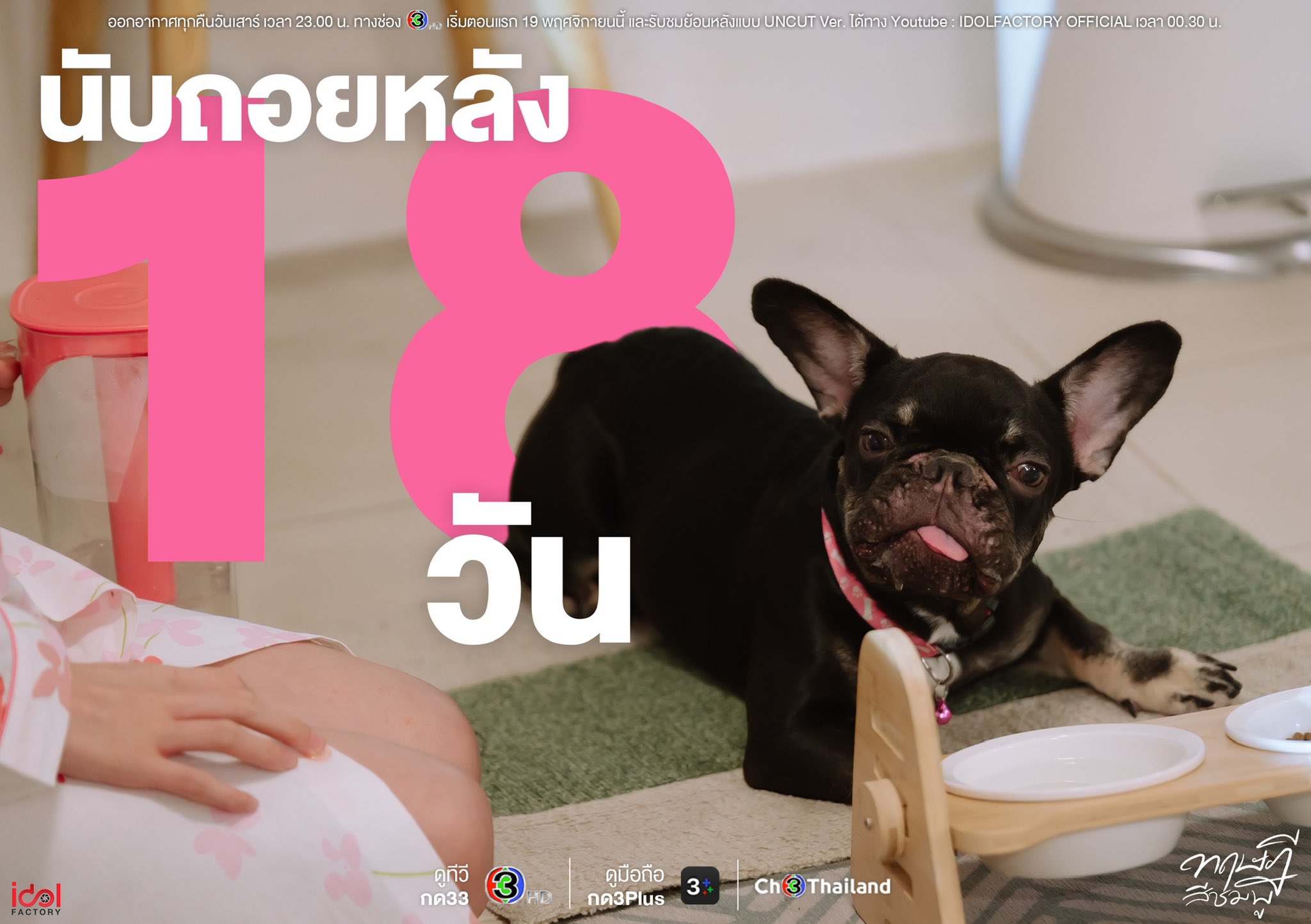 粉红理论的海报-预告海报