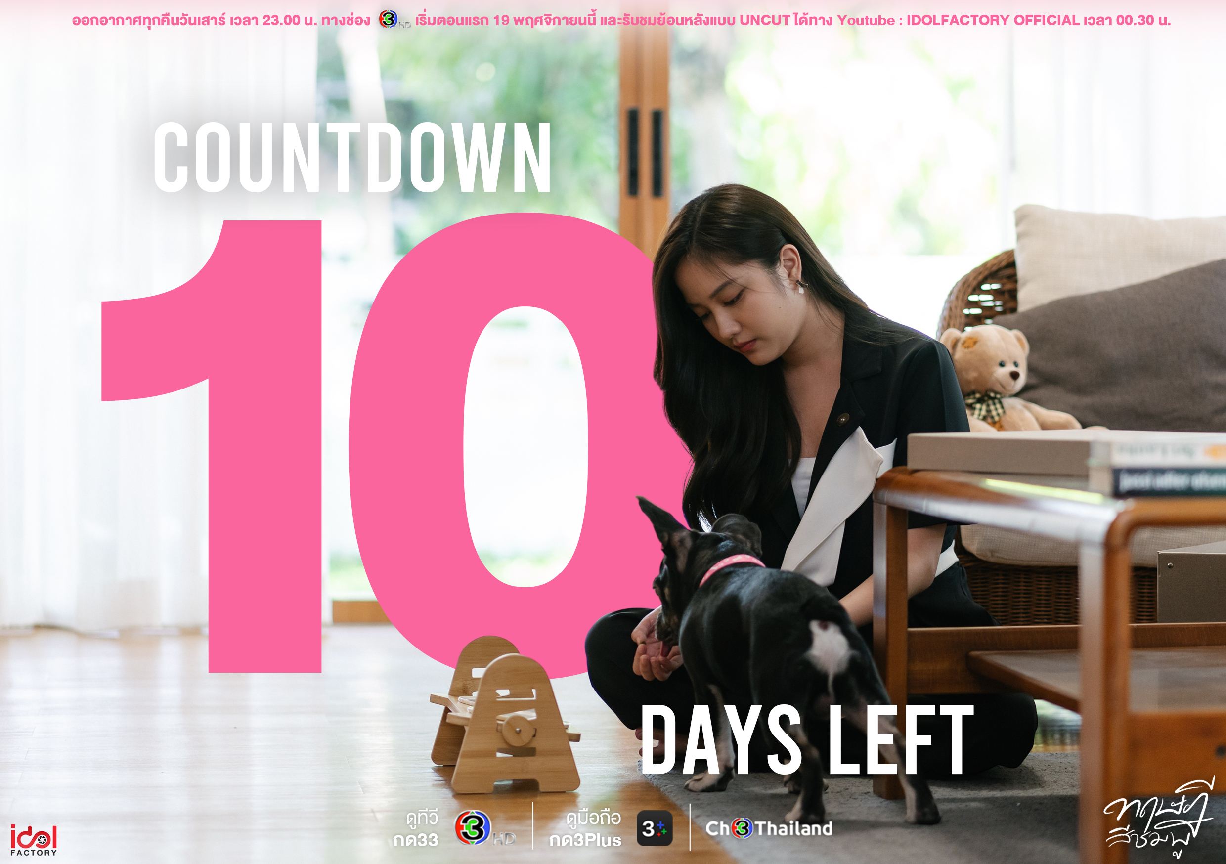 粉红理论的海报-预告海报