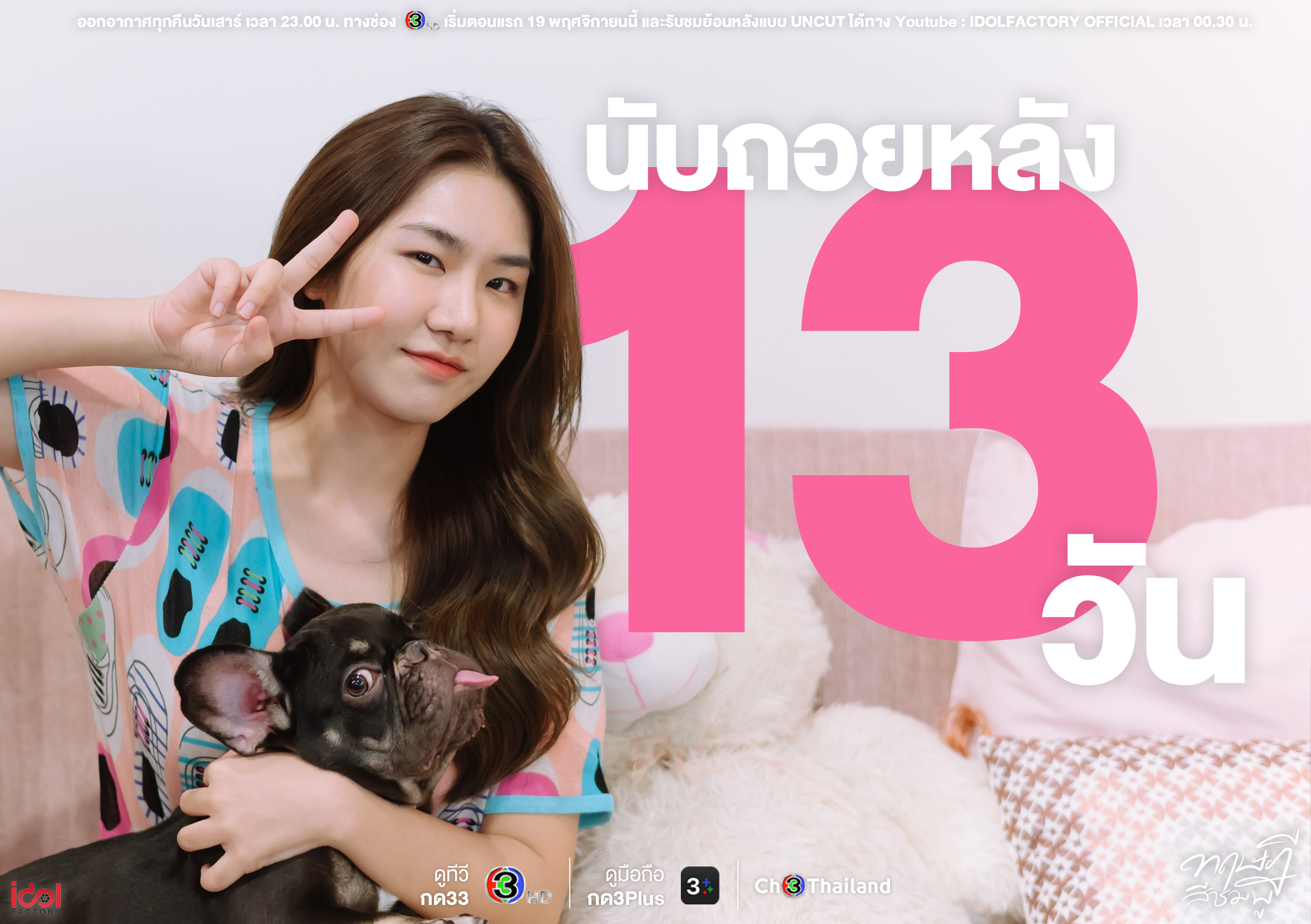 粉红理论的海报-预告海报