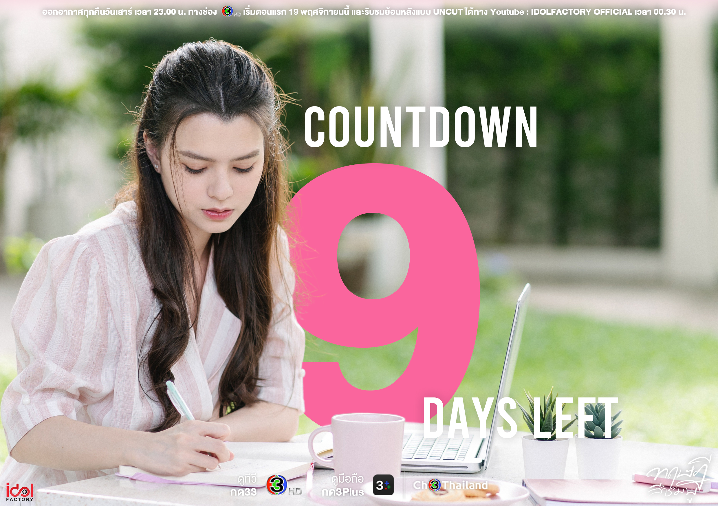 粉红理论的海报-预告海报