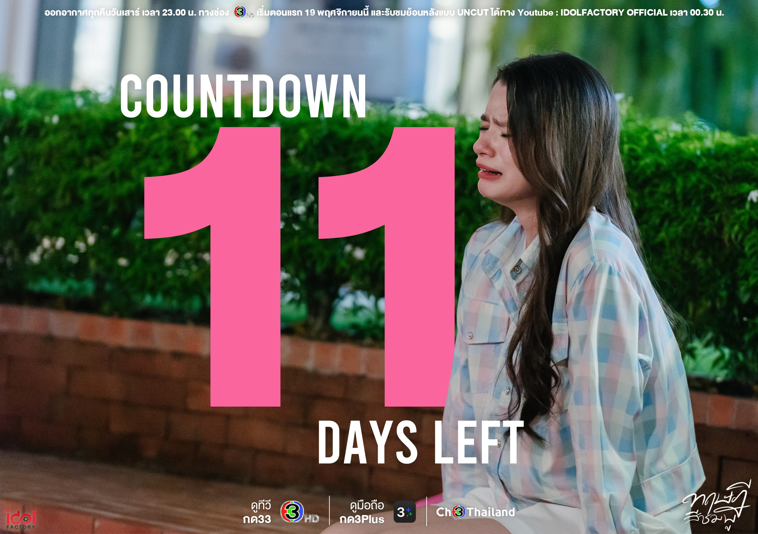 粉红理论的海报-预告海报