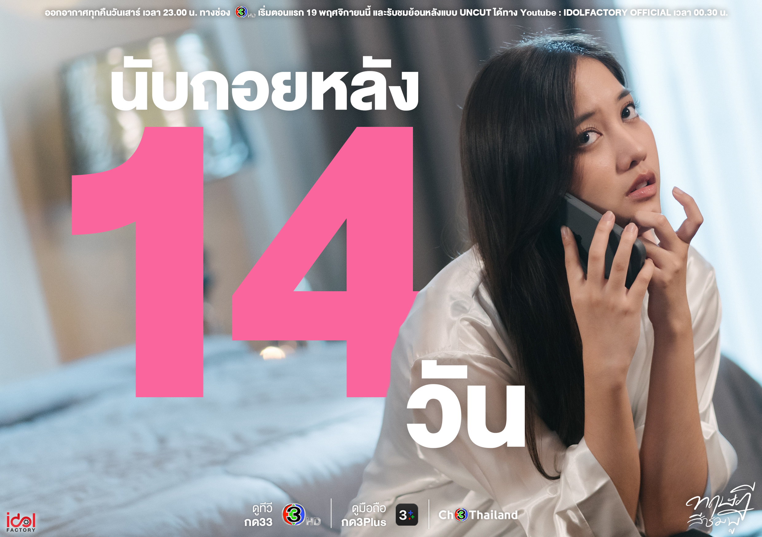 粉红理论的海报-预告海报