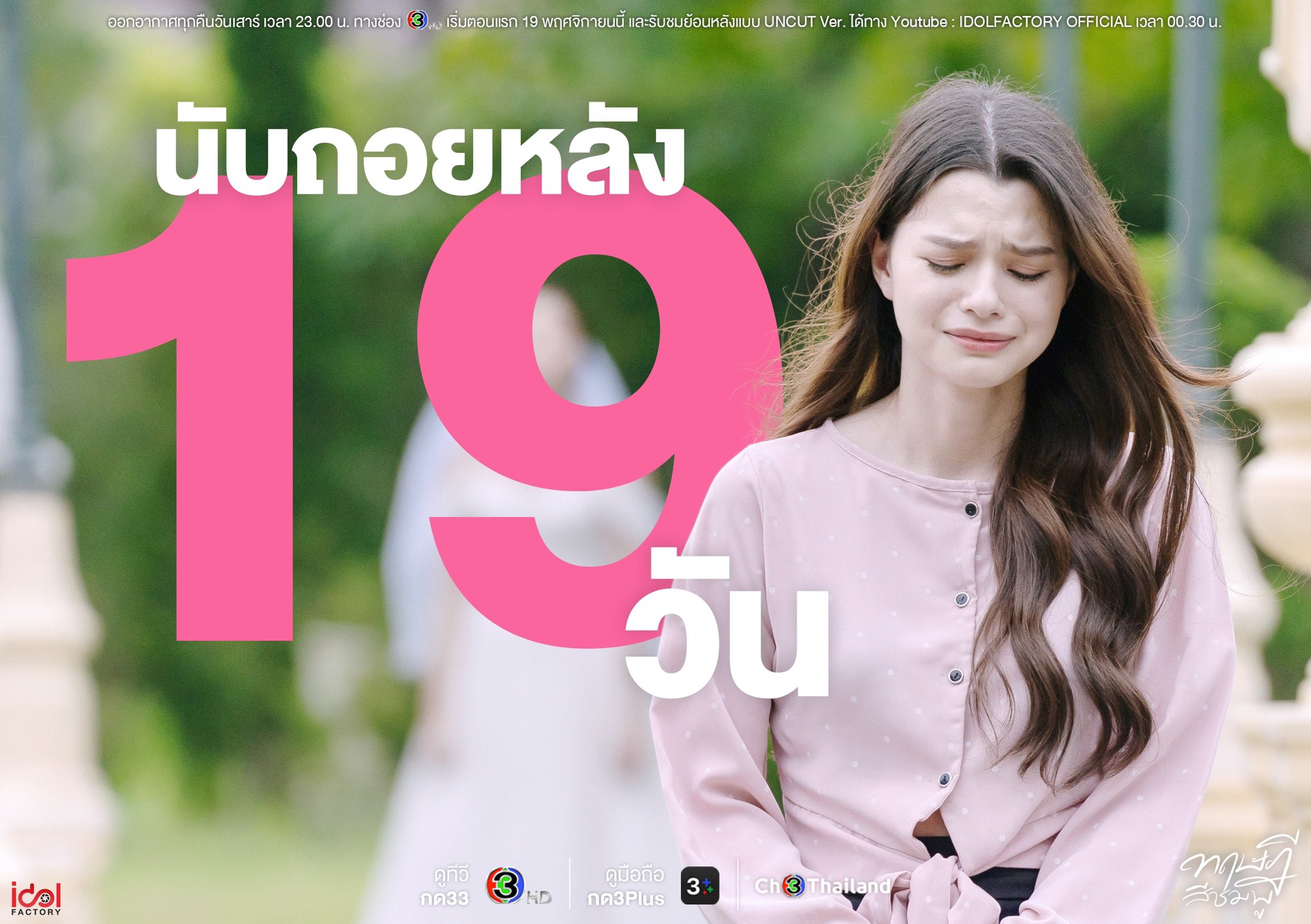 粉红理论的海报-预告海报