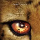 我们的浩瀚宇宙