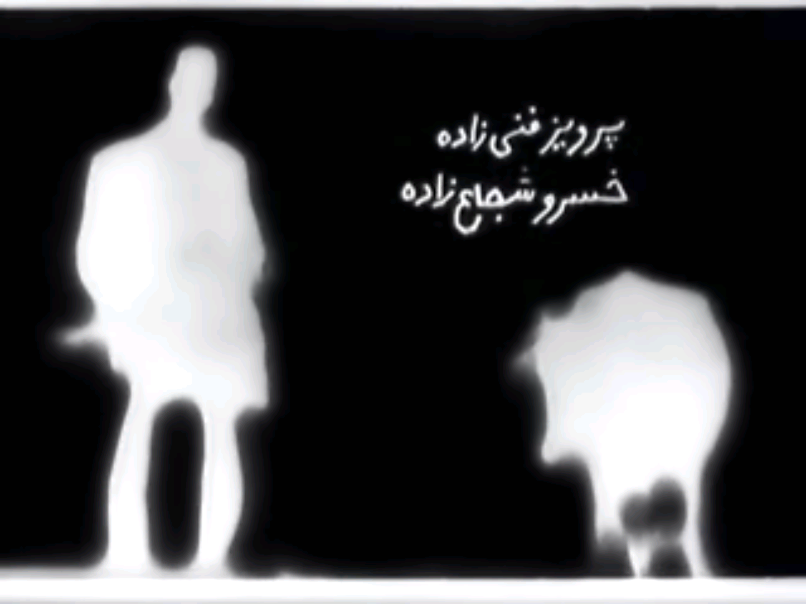 奶牛的海报-其他海报