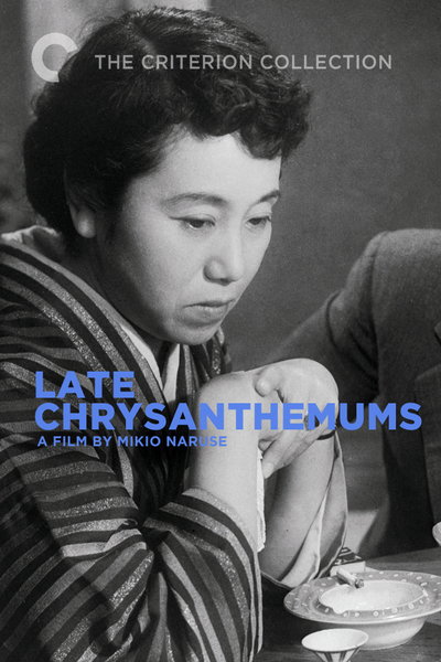 晚菊的海报-其他海报 美国