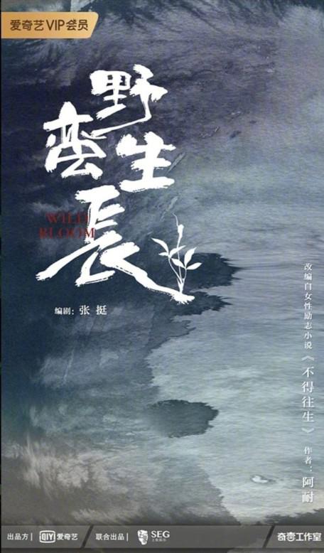 风吹半夏的海报-预告海报