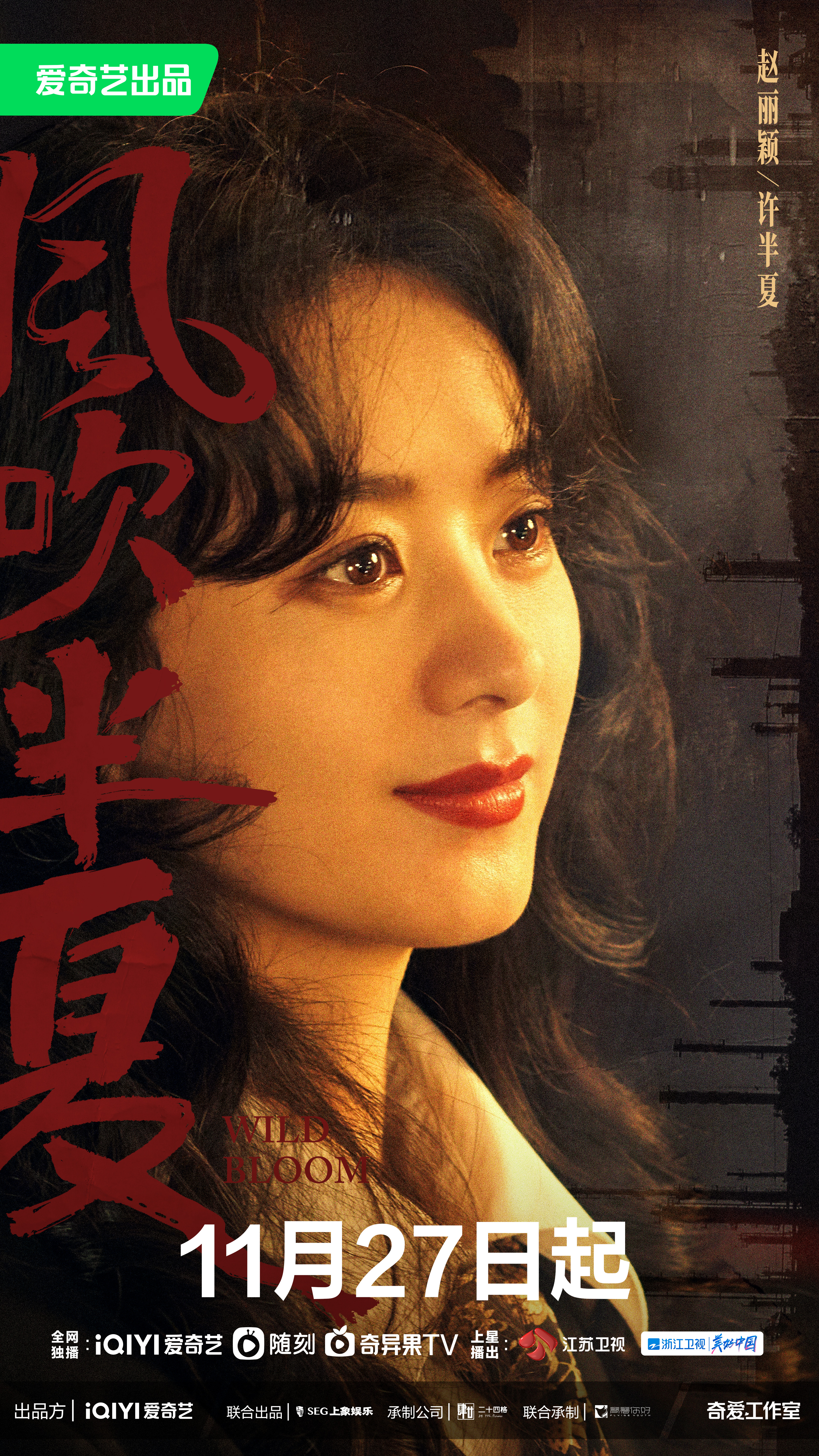 风吹半夏的海报-角色海报