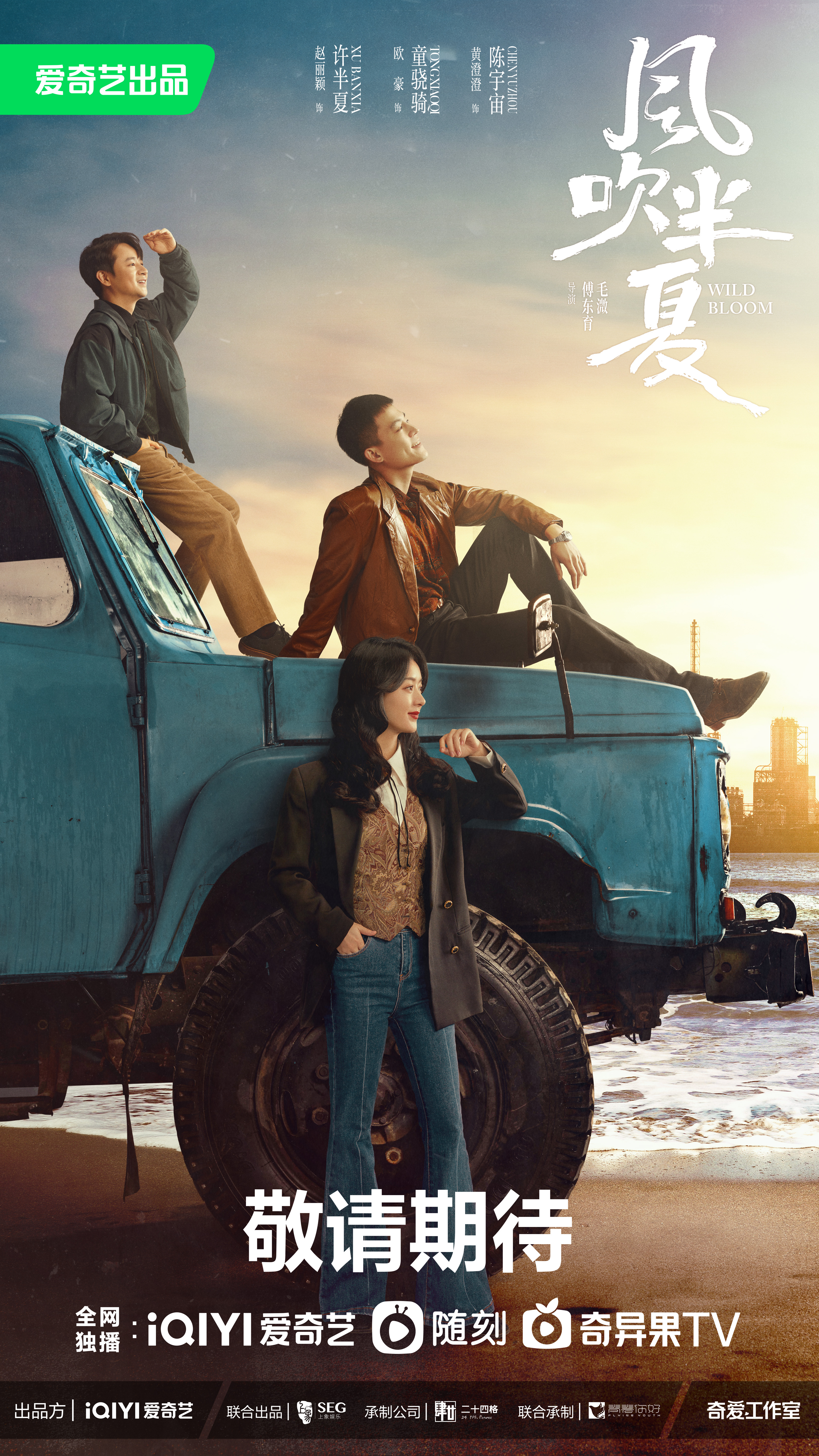风吹半夏的海报-正式海报