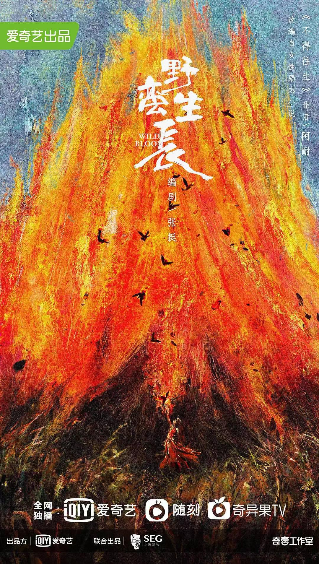 风吹半夏的海报-正式海报