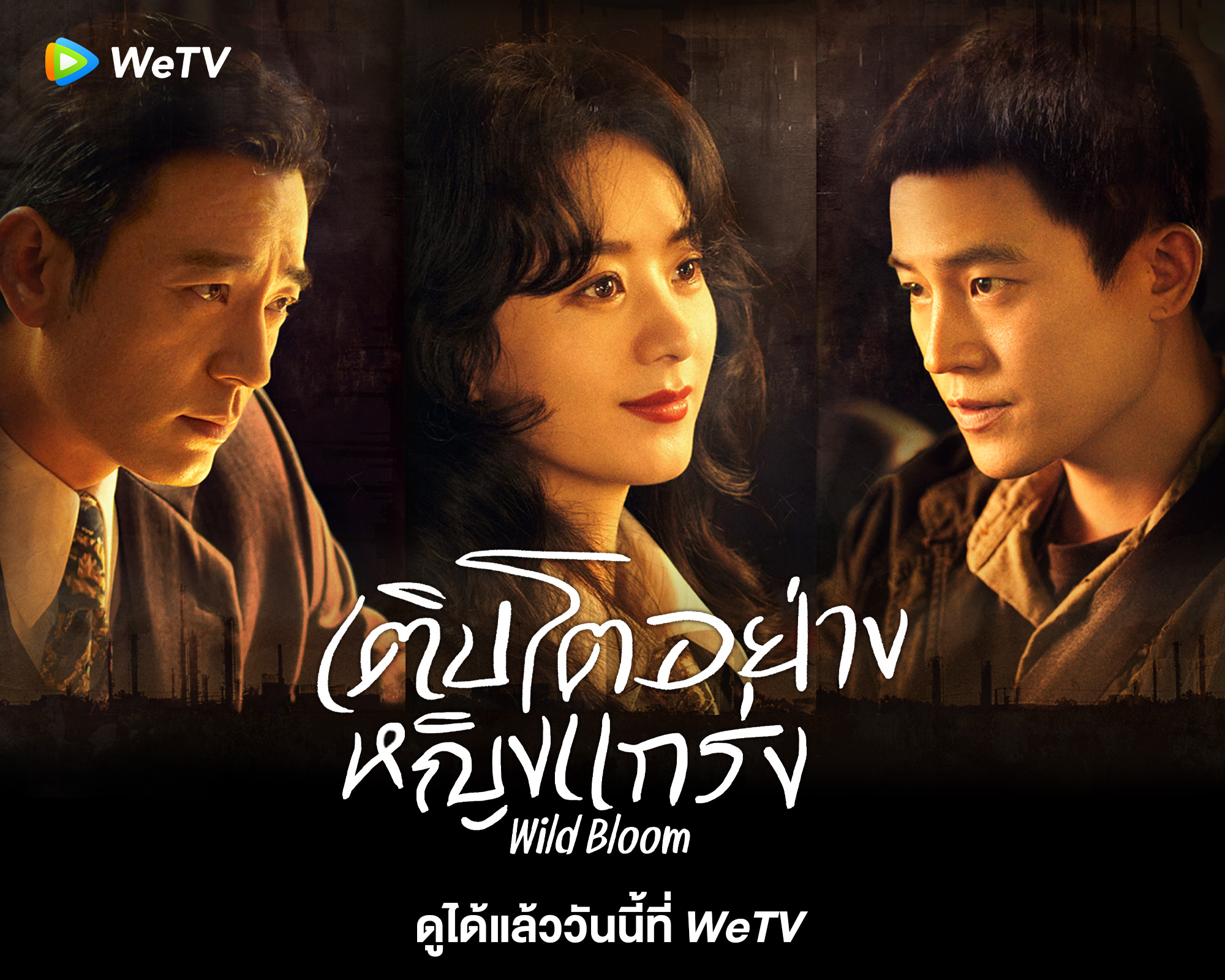 风吹半夏的海报-正式海报 泰国