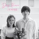 Dry Flower-七月的房间-