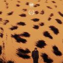 安纳托利亚豹.海报