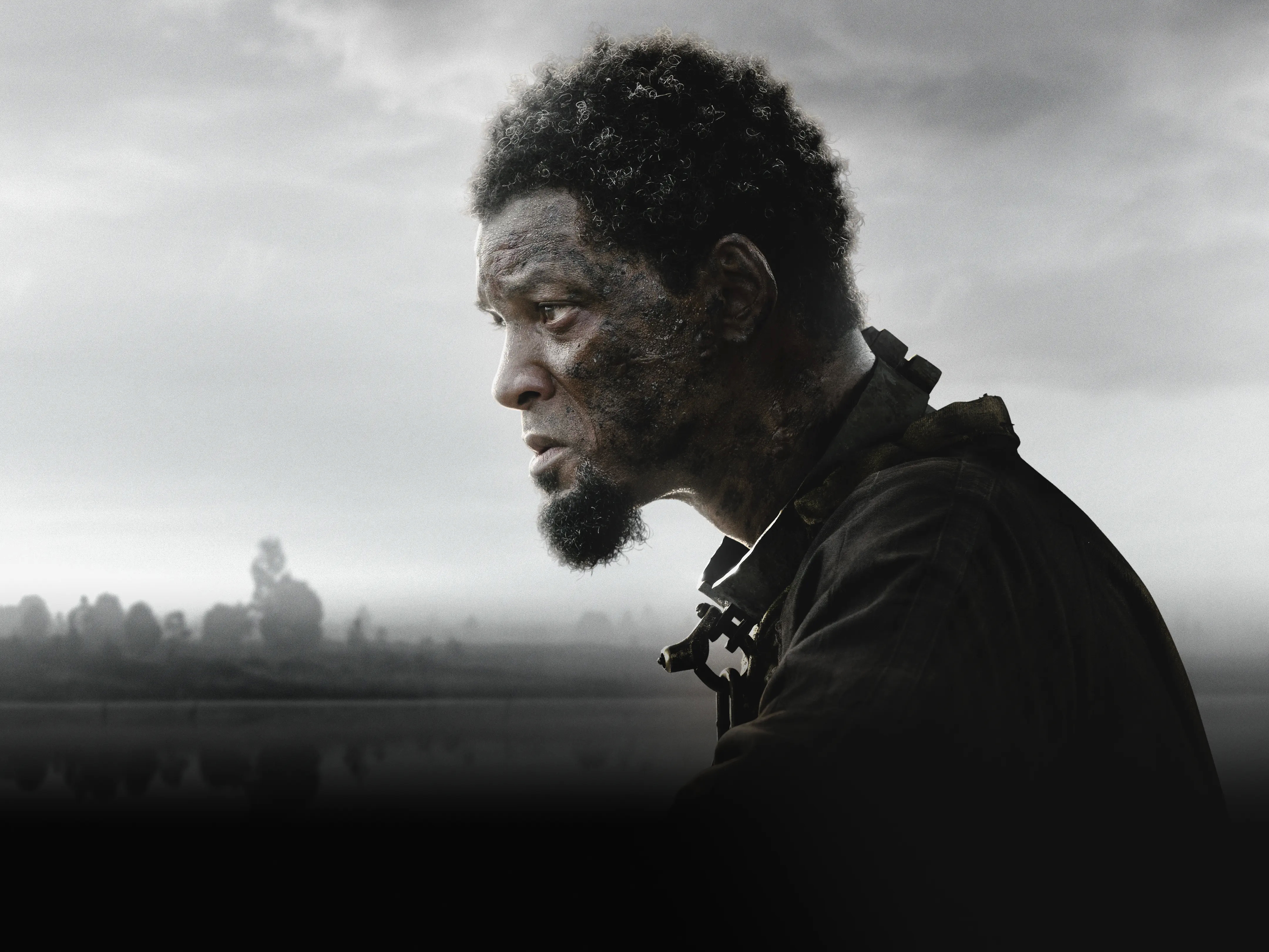 解放黑奴的海报-正式海报 美国