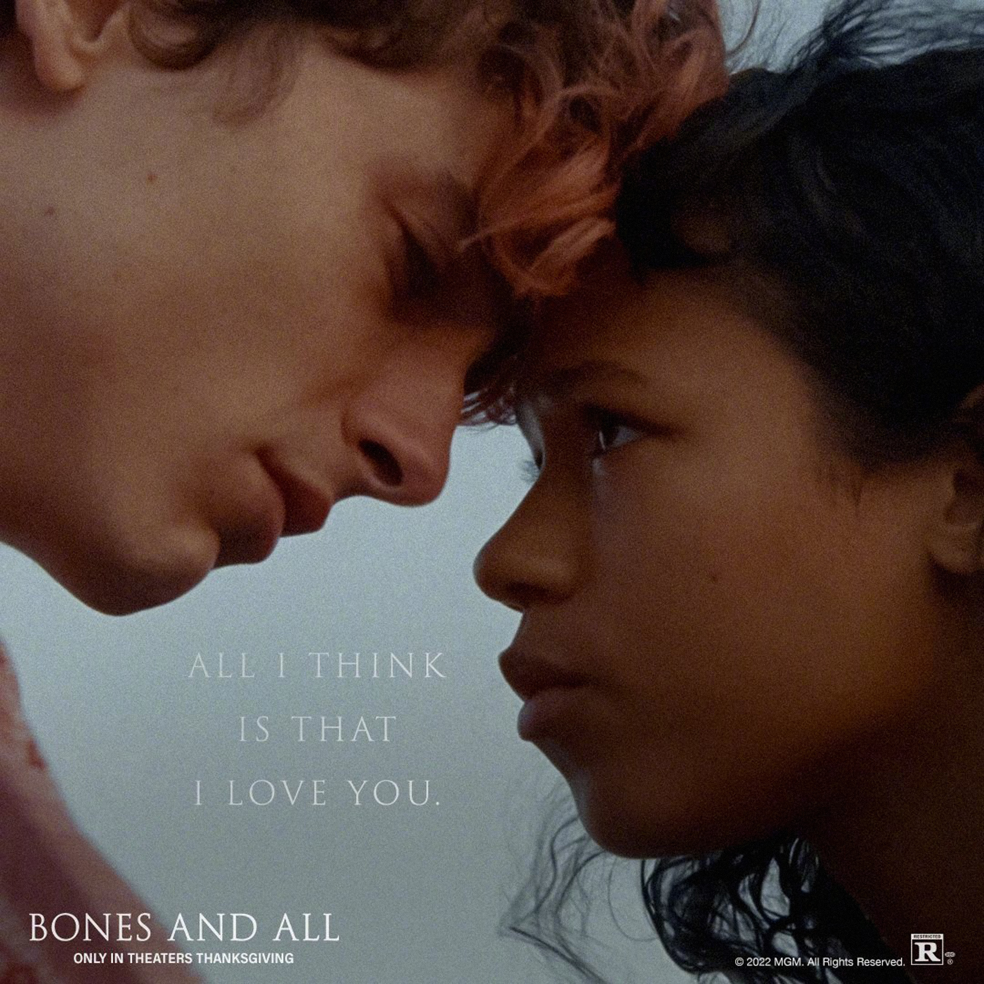 骨及所有的海报-正式海报 美国