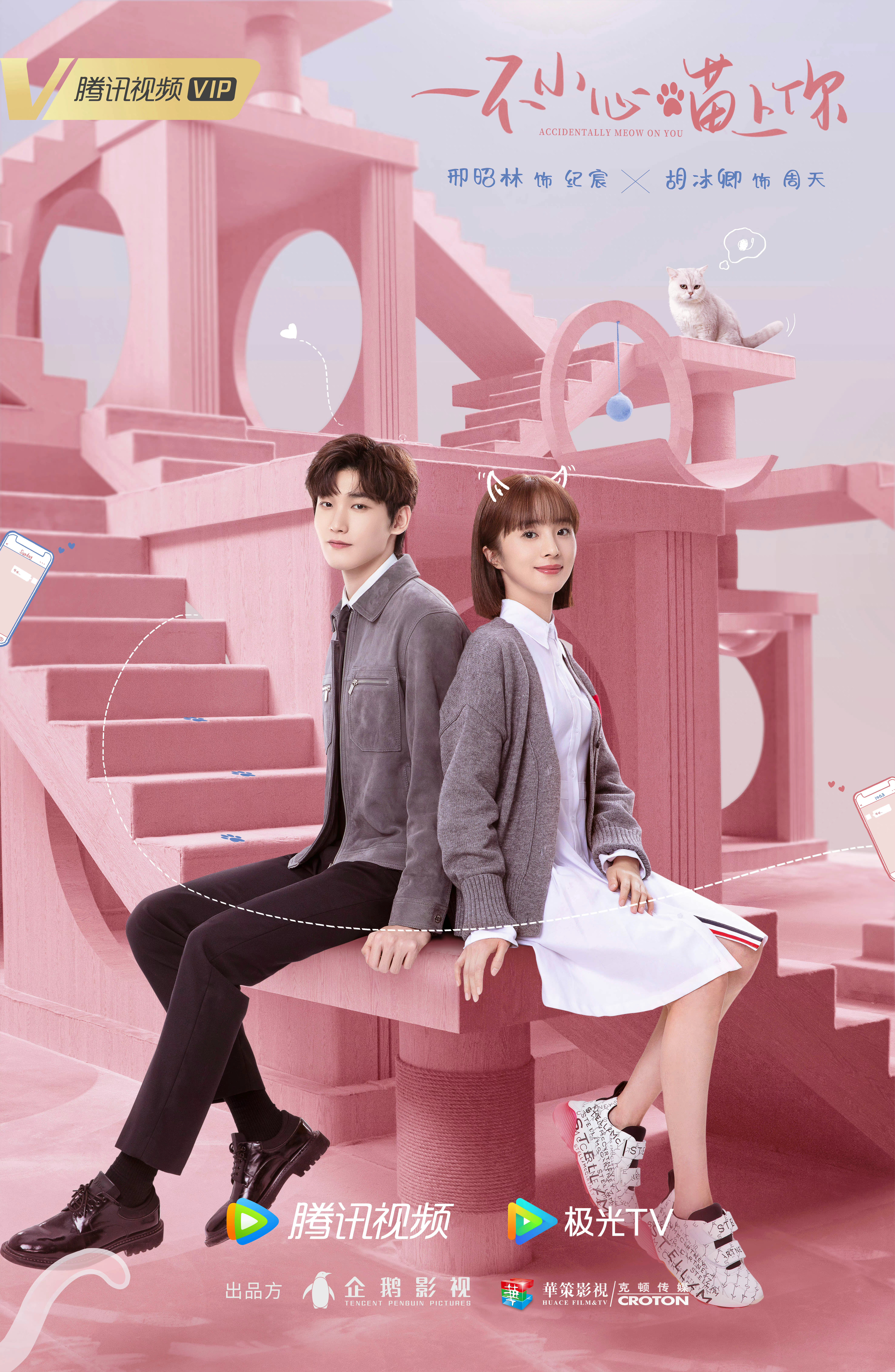 一不小心喵上你的海报-正式海报