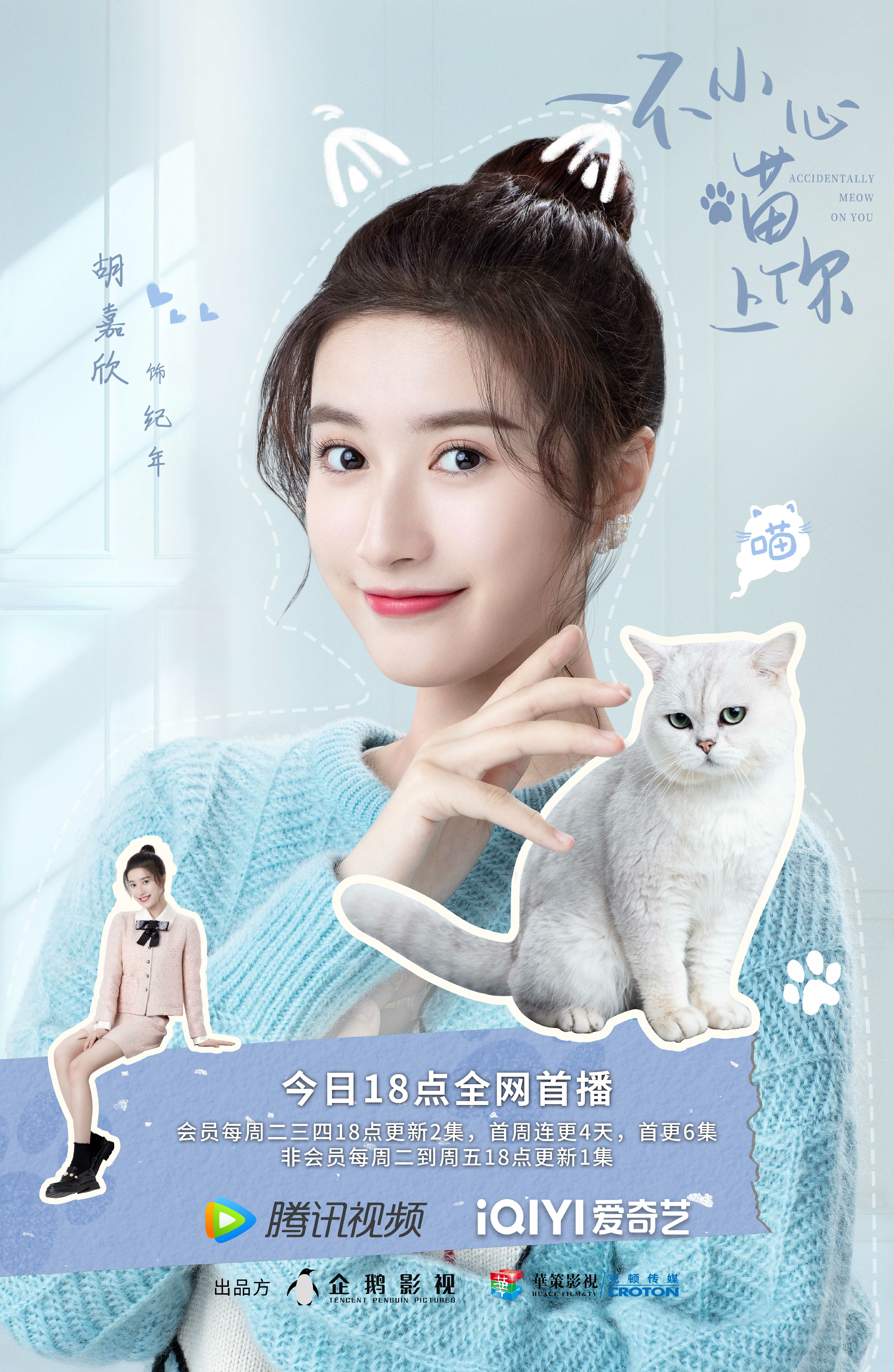 一不小心喵上你的海报-角色海报 中国大陆