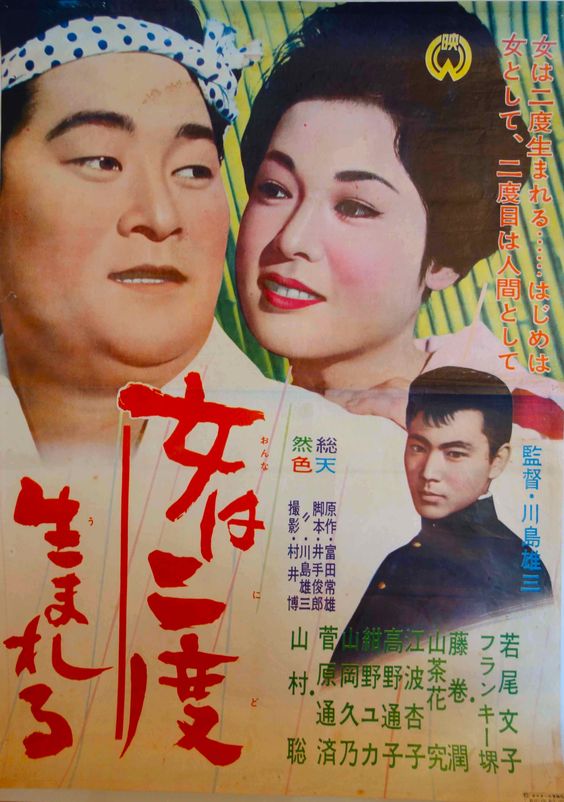 女人二度出生的海报-正式海报