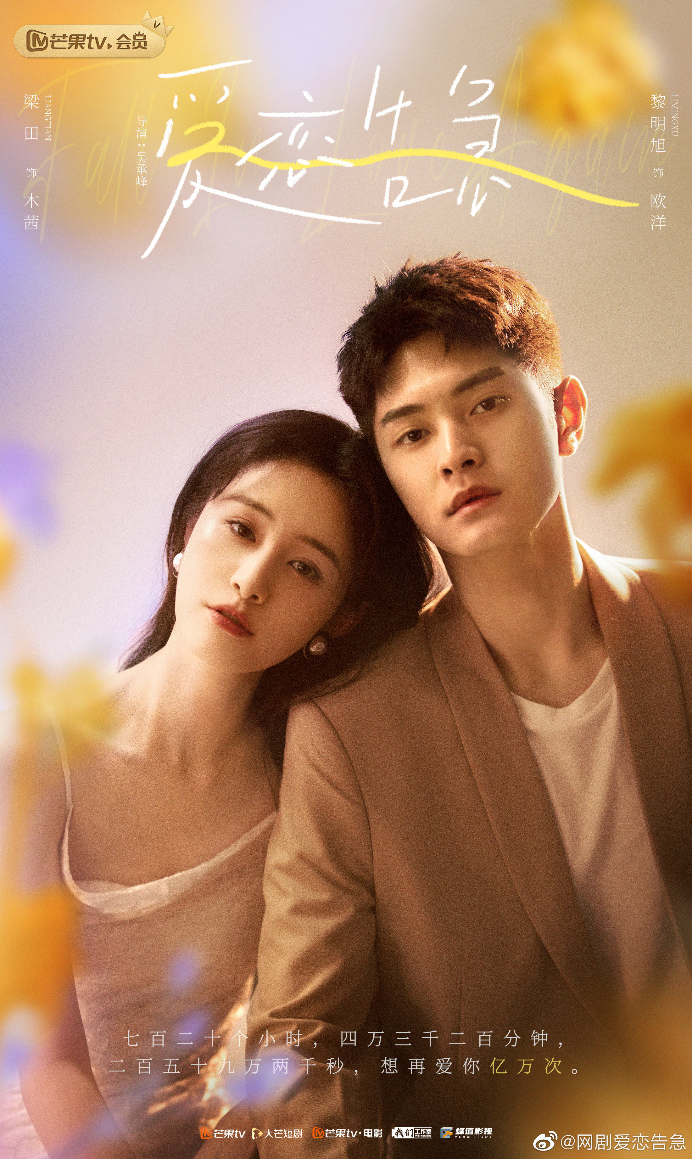 爱恋告急的海报-正式海报