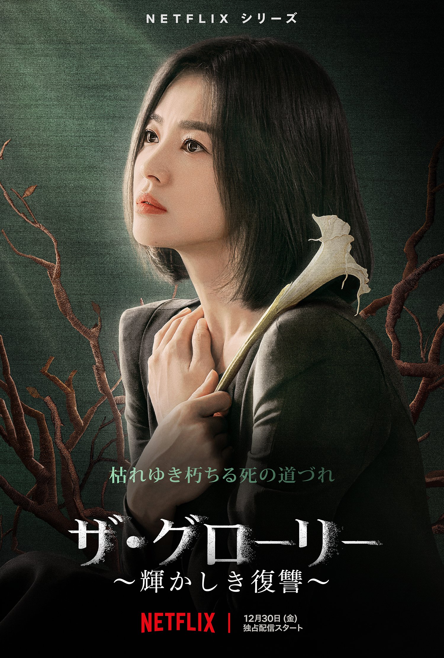 黑暗荣耀的海报-正式海报 日本