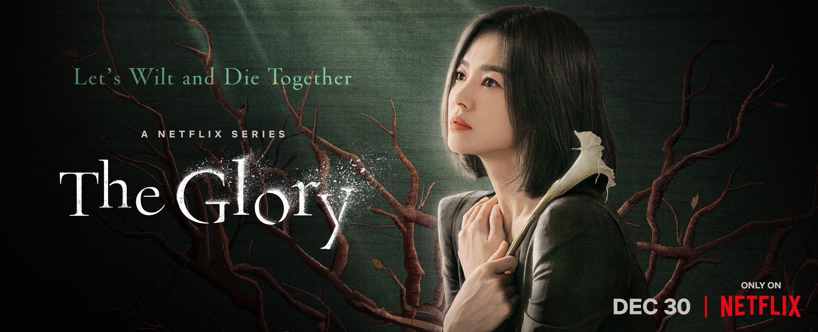 黑暗荣耀的海报-正式海报 美国