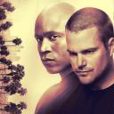 海军罪案调查处：洛杉矶 第十季