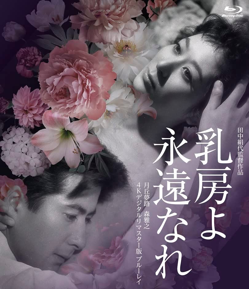 永恒的乳房的海报-其他海报 日本