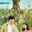 夏日不宜入爱河