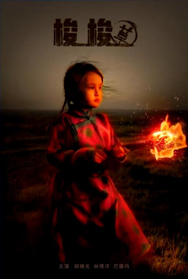 梭梭草的海报-正式海报