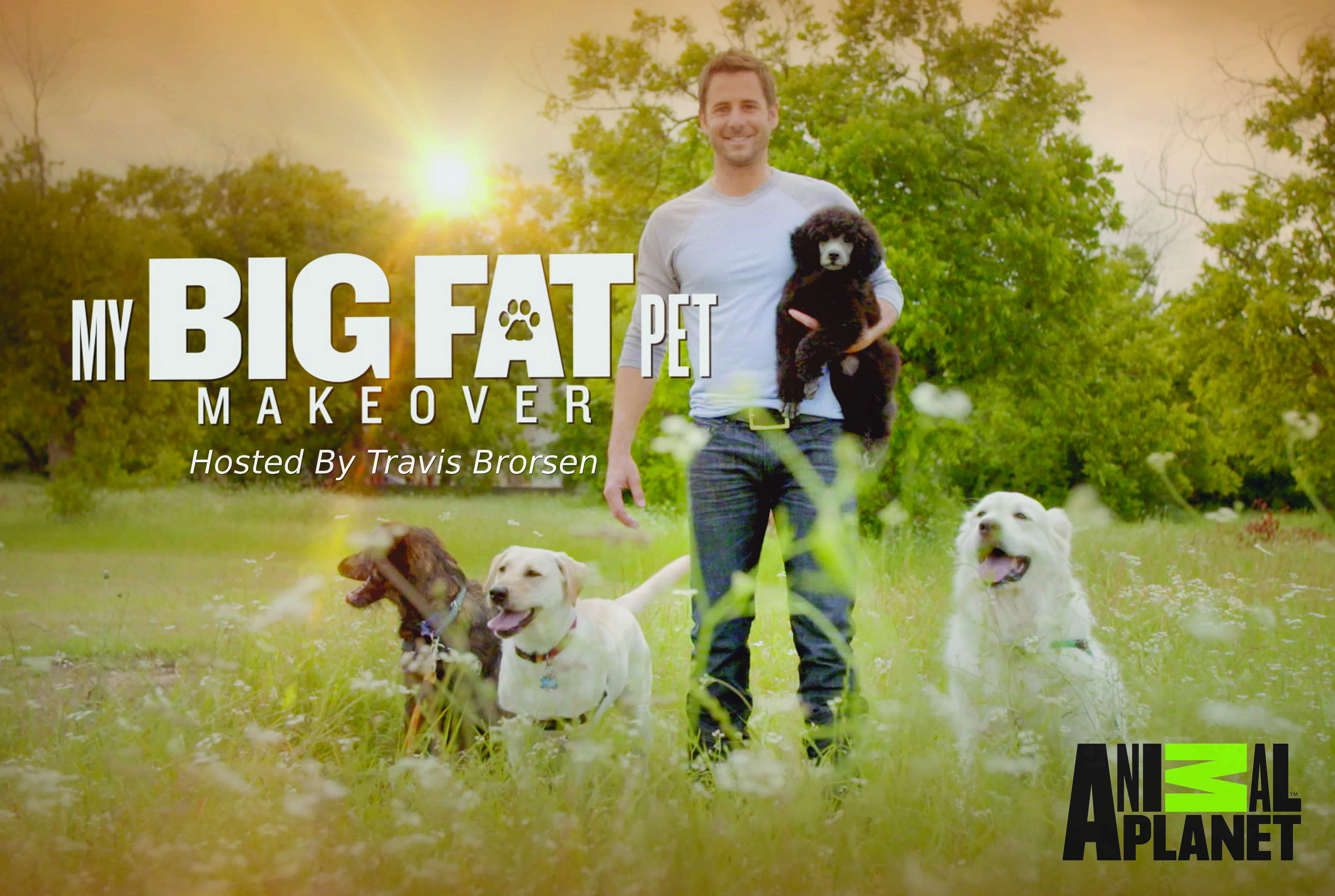 肥宠瘦身的海报-预告海报 美国